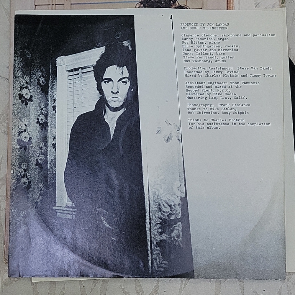 Bruce Springsteen Vinyl - Picture 3 of 7